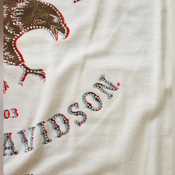 Harley-Davidson Riding Bikes Raising Hell Long Sleeve Cream Rhinestone Top Sz 1X - Picture 8 of 11